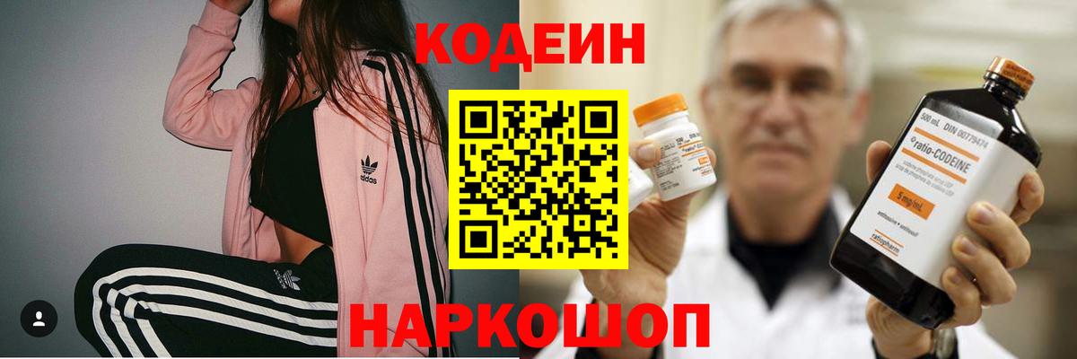 Codein напиток Lean (лин)  продажа наркотиков  Кодеиновый сироп Lean Purple Drank  Алейск  Вход с VPN 