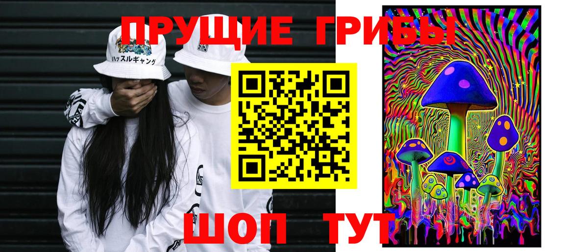 Галлюциногенные грибы GOLDEN TEACHER Алейск