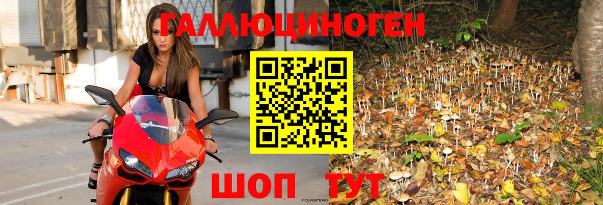 Псилоцибиновые грибы мухоморы Алейск