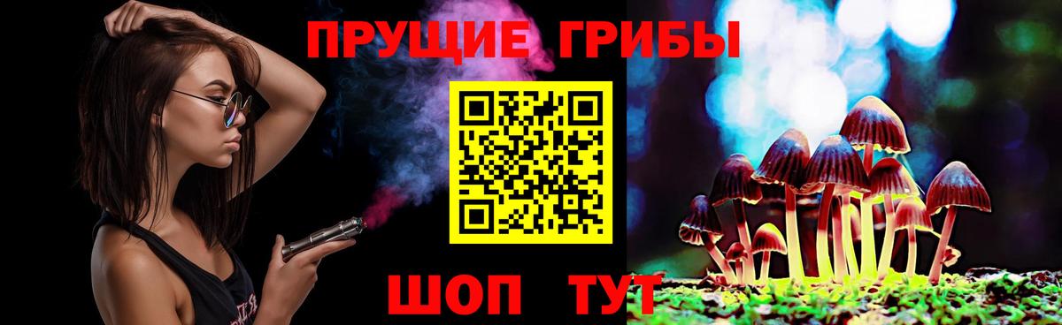Алейск  Псилоцибиновые грибы мицелий  продажа наркотиков  Вход с VPN  Псилоцибиновые грибы Psilocybe 